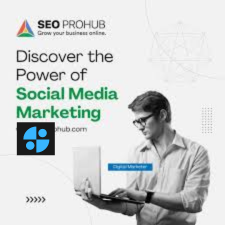 seo pro hub